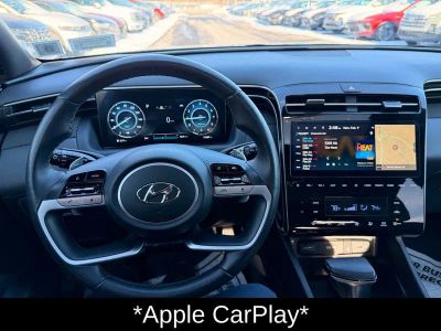 2024 Hyundai Santa Cruz Limited - Photo 12
