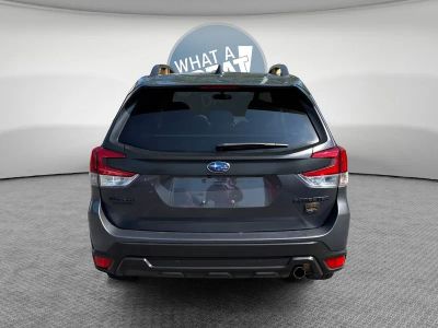 2024 Subaru Forester — detail view