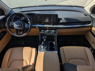 2024 Kia Carnival — photo 14 view