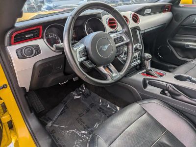 2015 Ford Mustang — photo 18 view