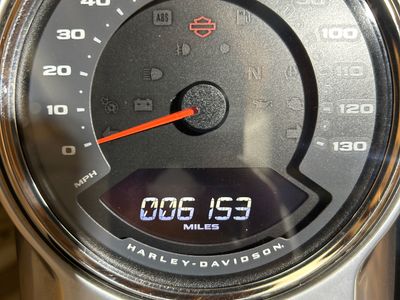 2018 Harley-Davidson Fat Boy 114 - Photo 10