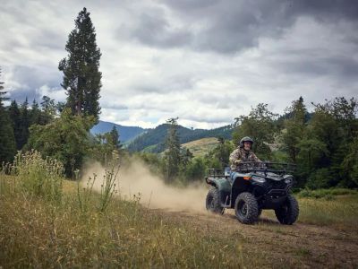 2026 CFMOTO CForce 400 — photo 10 view