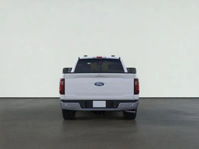 2025 Ford F-150 — detail view
