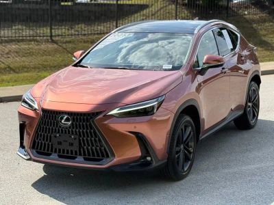2025 Lexus NX - Photo 7
