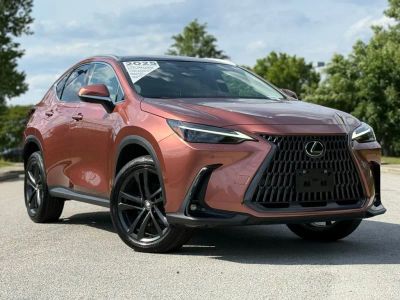2025 Lexus NX - Photo 2