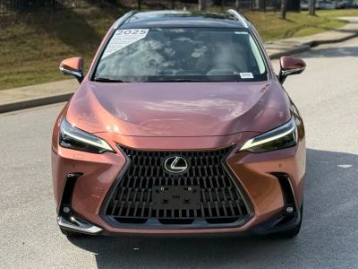 2025 Lexus NX - Photo 6