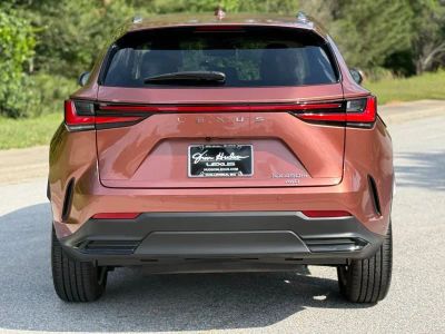 2025 Lexus NX - Photo 10