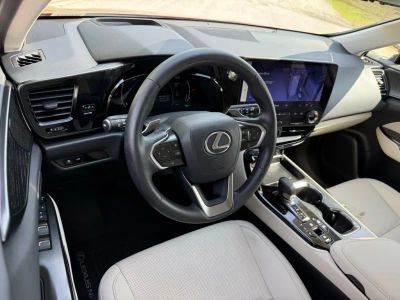 2025 Lexus NX - Photo 3