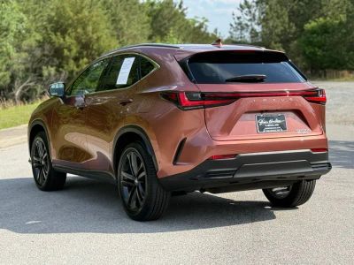 2025 Lexus NX - Photo 9