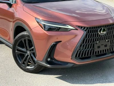 2025 Lexus NX - Photo 4