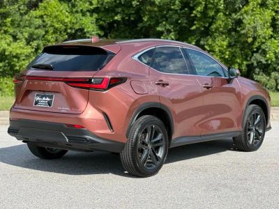 2025 Lexus NX - Photo 11