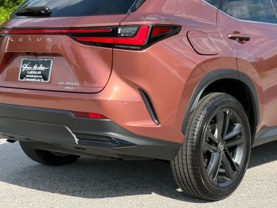 2025 Lexus NX - Photo 13