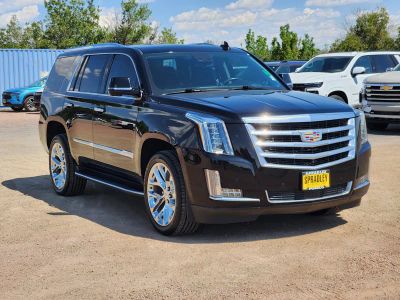 2015 Cadillac Escalade — detail view