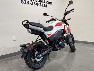 2026 CFMOTO Papio CL - Photo 9