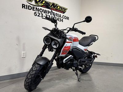2026 CFMOTO Papio CL - Photo 4