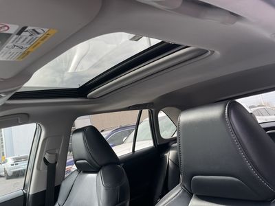 2019 Toyota RAV4 — photo 27 view