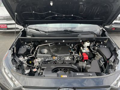 2019 Toyota RAV4 — photo 24 view