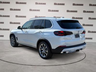 2026 BMW X5 — rear three-quarter view