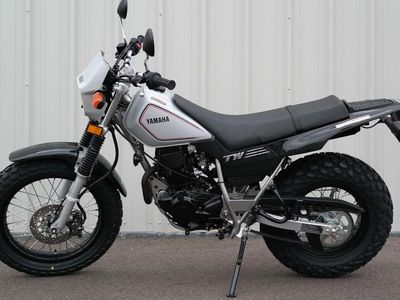 2026 Yamaha TW200 - Photo 3