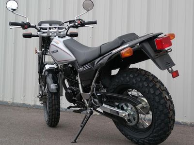 2026 Yamaha TW200 - Photo 4