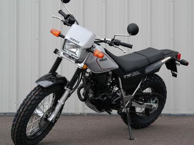 2026 Yamaha TW200 - Photo 1