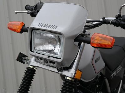 2026 Yamaha TW200 - Photo 11