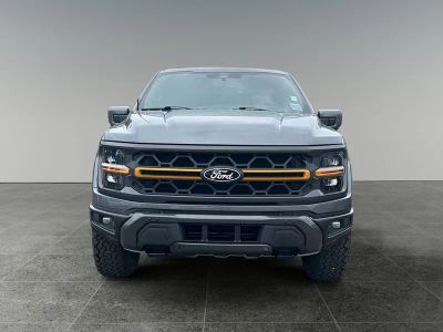 2025 Ford F-150 — side profile view