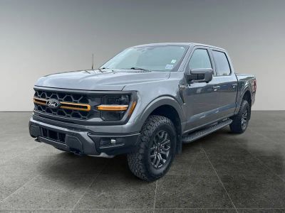 2025 Ford F-150 — rear three-quarter view
