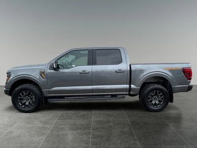 2025 Ford F-150 — detail view