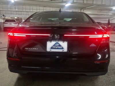 2023 Honda Accord — detail view