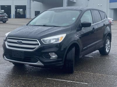 2019 Ford Escape — rear three-quarter view