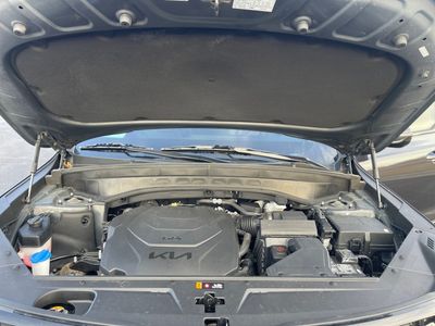 2025 Kia Telluride - Photo 10