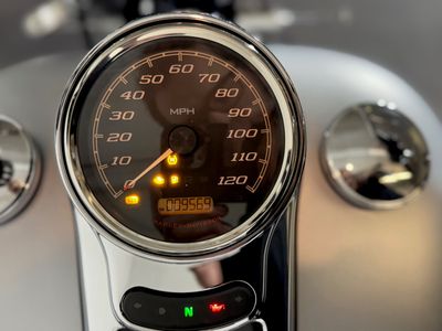 2020 Harley-Davidson Freewheeler - Photo 3