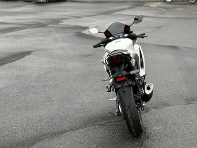 2026 Yamaha YZF-R3 - Photo 5