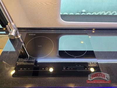 2025 Terreno-ion AWD Twin — photo 14 view