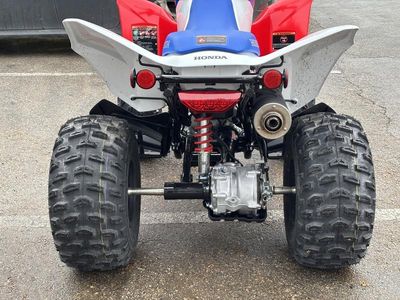 2026 Honda TRX250X - Photo 4