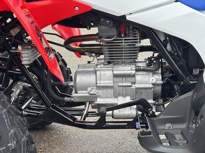 2026 Honda TRX250X - Photo 9
