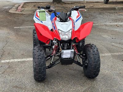 2026 Honda TRX250X - Photo 2