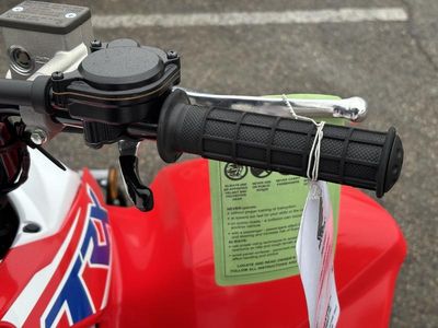 2026 Honda TRX250X - Photo 12