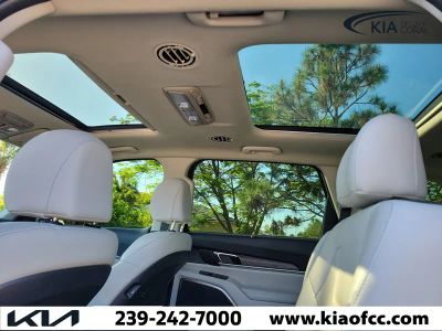 2022 Kia Telluride — photo 16 view