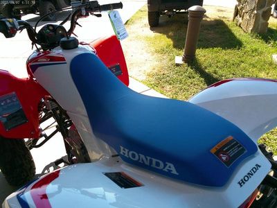 2026 Honda TRX250XT - Photo 6