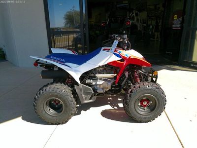 2026 Honda TRX250XT - Photo 1