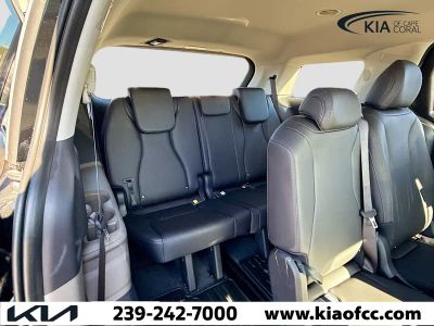 2026 Kia Carnival — photo 20 view