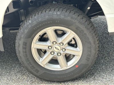 2026 Ford F-150 — photo 19 view