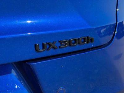 2025 Lexus UX — photo 11 view