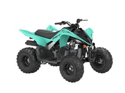 2025 Yamaha Raptor 110 — front three-quarter view