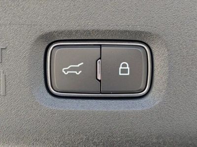 2026 Ford Expedition — photo 13 view