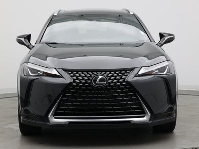 2021 Lexus UX - Photo 2