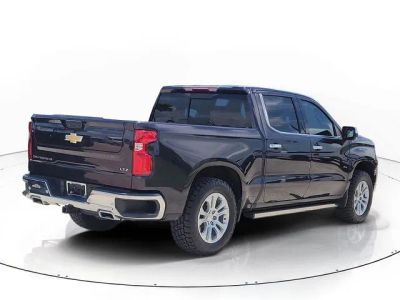 2023 Chevrolet Silverado 1500 — detail view
