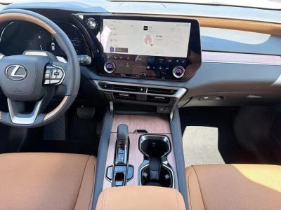 2026 Lexus RX — photo 20 view